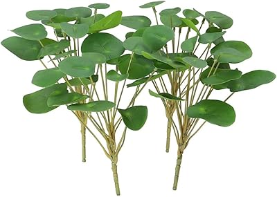 Pilea peperomioides bouquet de papier fleurs artificielles plantes branches en. DIAYTAR COTE D'IVOIRE est plus qu'une simple boutique en ligne : c'est une communauté de clients qui partagent des passions et des intérêts communs. La boutique en ligne propose régulièrement des promotions et des concours pour ses clients, afin de les récompenser de leur fidélité. Avec DIAYTAR COTE D'IVOIRE, les clients peuvent découvrir de nouveaux produits et de nouvelles tendances en ligne.