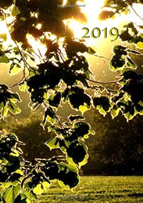 My big fat calendar 2019 - feuilles au soleil (gb & us)
