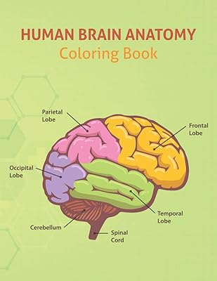 Livre de coloriage sur l'anatomie du cerveau humain : diagramme du cerveau humain