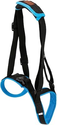 Canight porte-brillant à lèvres bretelles bleues ceinture auxiliaire pour chien fournitures pour animaux de compagnie ceinture auxiliaire pour animaux de compagnie la ceinture de soutien pour chien support de plaque combiné ceinture de soutien pour animaux de compagnie bleue. En tant que leader du commerce en ligne en Cote d'Ivoire, DIAYTAR COTE D'IVOIRE propose une vaste gamme de produits allant de l'électronique à la mode, en passant par les produits ménagers et bien plus encore, avec plus de 300000 références. La boutique garantit une expérience d'achat en ligne fluide et sécurisée, avec des options de paiement flexibles et des délais de livraison rapides. DIAYTAR COTE D'IVOIRE est là pour satisfaire les besoins de tous les consommateurs.