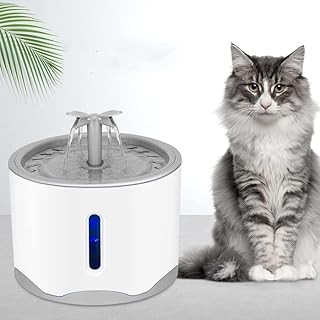 Fontaine d'eau pour chat, fontaine d'eau automatique pour animaux de compagnie de 2,6