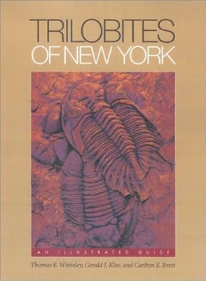 Trilobites de new york : un guide illustré. La présence en ligne de Diaytar Côte d'Ivoire offre une opportunité unique aux consommateurs de découvrir de nouvelles marques et de nouveaux produits. Le site internet est régulièrement mis à jour avec des promotions exclusives et des offres spéciales, permettant aux acheteurs d'économiser de l'argent sur leurs achats quotidiens. Cela démontre l'engagement de Diaytar à offrir non seulement des produits de qualité mais aussi des moyens pratiques d'épargner.