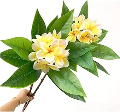 Oukeyi 35,5 pouces fleurs artificielles fleur de frangipanier artificielle réaliste toucher réel fleurs de plumeria artificielles pour la maison, bouquet de mariage, décoration de la maison (jaune), paquet de 2. DIAYTAR COTE D'IVOIRE est une boutique en ligne généraliste réputée pour sa vaste gamme de produits, avec plus de 300 000 références. Elle est la boutique leader en Côte d'Ivoire, offrant une expérience d'achat en ligne de qualité. Les clients peuvent trouver tout ce dont ils ont besoin en un seul endroit.