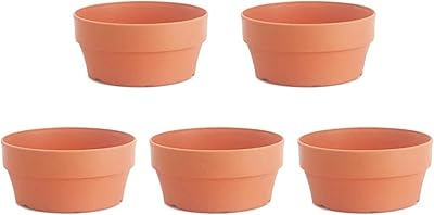 Pots de jardinières pots de pépinière en plastique pots de jardinières ronds et bassin de cactus succulents. Avec plus de 300000 références de produits, DIAYTAR COTE D'IVOIRE est le destin idéal pour les clients qui cherchent une grande variété de produits en un seul endroit. La boutique en ligne est facile à utiliser et offre une navigation intuitive pour une expérience d'achat en ligne optimale.