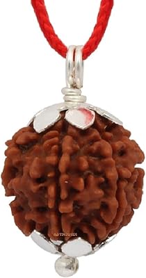 Astrodidi brown 4 mukhi nepali rudraksha certifié et mantra siddha four face rudraksh