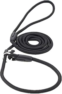Laisse de dressage pour chien - laisse en nylon pour chiot avec collier