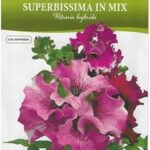 Graines de mélange de pétunia de haute qualité \"petunia super bissima n mix\"