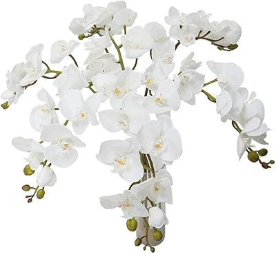 Yatai lot de 6 orchidées artificielles au toucher réaliste, phalaenopsis et branches d'orchidées, plantes artificielles en gros pour la maison, centre de table, festival, décoration de fête de mariage (blanc). Avec plus de 300 000 références, DIAYTAR COTE D'IVOIRE offre une gamme étendue de produits qui répondent aux besoins des consommateurs ivoiriens. La boutique en ligne est connue pour ses prix compétitifs et sa livraison rapide, ce qui en fait une destination de choix pour les achats en ligne en Côte d'Ivoire. Elle propose également des promotions et des offres spéciales régulières pour fidéliser ses clients.