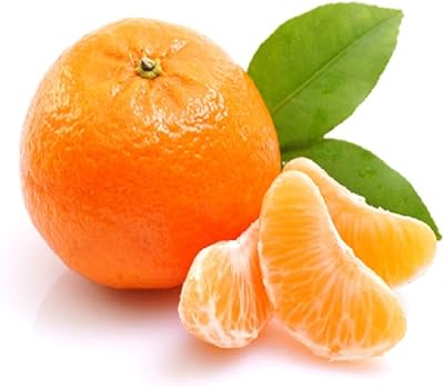 Market on wheels mandarine marocaine fraîche, 500 grammes 4-5 pièces fruits légumes grade