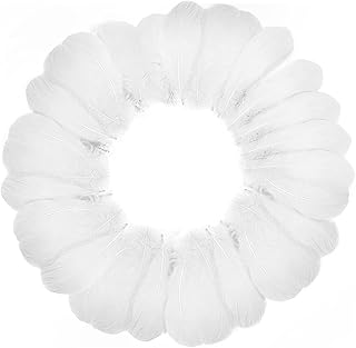 200 pièces de plumes blanches de 6 à 8 pouces par darky