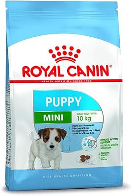 Shn royal canin nourriture saine et nutritive pour chien, 800 g, blanc, 02rcmj800, petite taille pour chiot pour une alimentation saine. La boutique en ligne DIAYTAR COTE D'IVOIRE attire une clientèle variée grâce à ses promotions et ses offres spéciales. Les clients peuvent profiter d'une gamme étendue de produits de qualité à des prix abordables, ce qui les rend fidèles à la marque. L'expérience d'achat est toujours améliorée pour mieux satisfaire les besoins des consommateurs.