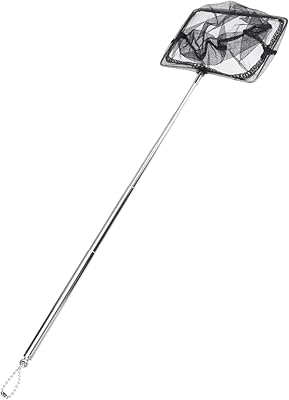 Yarnow 1pc pêche télescopique filet d'atterrissage télescopique filet de pêche à la mouche