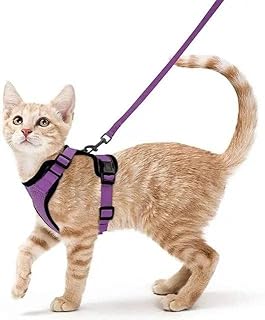 Harnais pour chat anti-évasion en maille réglable personnalisé pour la marche (taille xs, violet). DIAYTAR COTE D'IVOIRE est déterminée à offrir une expérience d'achat en ligne personnalisée et satisfaisante à tous ses clients. Nous sommes à l'écoute de vos commentaires et de vos suggestions pour continuellement améliorer nos services et notre offre de produits. Notre objectif est de vous offrir la meilleure expérience d'achat en ligne possible, avec des prix compétitifs, des services de livraison rapides et une garantie de satisfaction.
