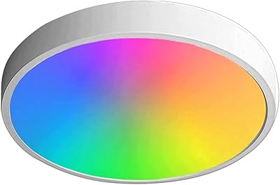 Plafonnier intelligent 24 w (32 cm) - blanc réglable à intensité variable 2