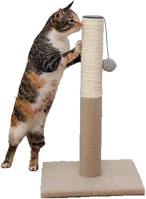 Griffoir d'intérieur newstyle pour chat avec boule suspendue, griffoir durable avec corde