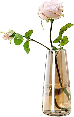 Vase moderne en verre transparent ns pour la décoration de la maison