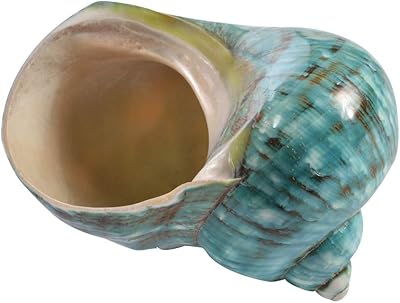1 pièces 10 cm vert turbo naturel rare véritable coquille de mer conque superbe décor de guérison océan. Avec plus de 300 000 références, DIAYTAR COTE D'IVOIRE est la destination idéale pour tous vos besoins d'achat en ligne en Côte d'Ivoire. Nous proposons une sélection de produits de qualité, allant de l'électronique aux produits alimentaires, en passant par les vêtements et les accessoires. Notre objectif est de vous offrir une expérience d'achat en ligne unique et satisfaisante.