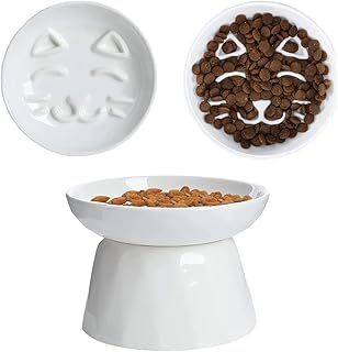 Bol de nourriture en céramique à montée lente pour chat, nourriture humide