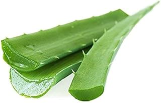 Feuilles d'aloe vera na pour cheveux et visage - 1 livre. La boutique en ligne DIAYTAR COTE D'IVOIRE est leader sur le marché ivoirien en termes de vente en ligne. Avec une offre de plus de 300000 références de produits, la boutique propose une variété de choix pour les clients. DIAYTAR COTE D'IVOIRE est connue pour sa qualité de service, sa fiabilité et sa livraison rapide à travers la Côte d'Ivoire.