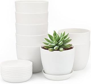 King luck 8 pièces pots de fleurs en plastique blanc épais 10 cm petits pots de plantes ronds avec plateaux pour plantes succulentes et petites plantes. Diaytar Côte d'Ivoire est la boutique en ligne leader en Côte d'Ivoire, proposant une expérience d'achat en ligne sans précédent. Avec une sélection de plus de 300 000 produits, les clients peuvent trouver tout ce dont ils ont besoin pour leur quotidienneté, que ce soit des produits de consommation ou des articles de loisirs. La boutique en ligne Diaytar Côte d'Ivoire met l'accent sur la qualité, la confiance et la satisfaction du client.