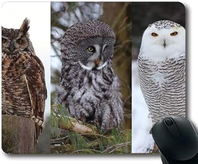 Grand tapis de souris de jeu, tapis de souris anglais hibou hibou oiseau avec bords cousus. La boutique en ligne DIAYTAR COTE D'IVOIRE est le leader du commerce électronique en Côte d'Ivoire, avec une sélection de produits qui répond à tous les besoins et goûts. La boutique propose des produits à des prix compétitifs, avec des promotions régulières et des offres spéciales pour les clients fidèles. C'est la destination idéale pour les ivoiriens qui cherchent à faire des achats en ligne de qualité et à des prix raisonnables.