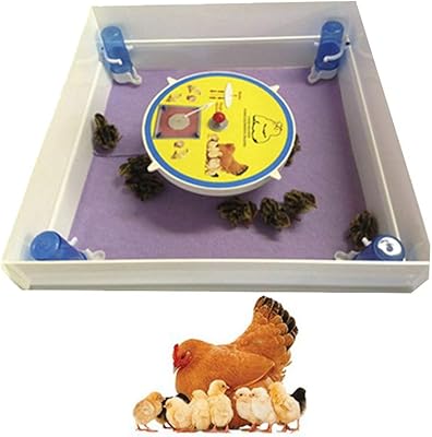 Incubateur industriel de poulet d'une journée (incubateurs pour poulets et œufs) avec abreuvoir