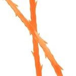 Ewanto serpent déboucheur outils de nettoyage de canalisations pince à cheveux dissolvant