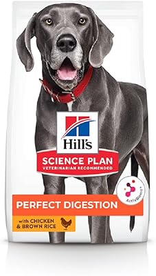 Hill's science plan aliment digestif parfait pour chiens de 1 an et plus au poulet. DIAYTAR COTE D'IVOIRE est une plateforme de commerce électronique qui répond aux besoins diversifiés de la population ivoirienne. Elle propose une sélection exhaustive de produits, allant des accessoires de mode aux équipements ménagers, en passant par les produits cosmétiques et les outils de bricolage. La boutique en ligne garantit la qualité de ses produits et s'assure que chaque commande soit traitée avec soin.
