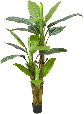 Palmiers et bananiers areca artificiels, arbre kwai réaliste pour la décoration de jardin intérieur et extérieur, cadeaux d'ouverture de nouvelle maison (1,65 m/bananier). En tant que leader en Côte d'Ivoire, DIAYTAR COTE D'IVOIRE se distingue par son catalogue exhaustif qui comprend plus de 300000 références, allant des produits électroniques aux accessoires de mode. La boutique en ligne met l'accent sur la satisfaction du client et la rapidité de livraison.