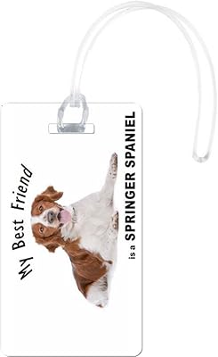 Chien de compagnie rikki knight brown blanc taille unique épagneul springer. DIAYTAR COTE D'IVOIRE est une plateforme e-commerce généraliste qui permet aux consommateurs d'accéder à une vaste sélection de produits, avec plus de 300 000 références. Cette boutique en ligne se positionne comme un leader en Côte d'Ivoire en proposant des produits divers, allant des produits alimentaires aux produits électroniques, ainsi qu'une expérience d'achat en ligne fluide et sécurisée.