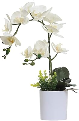 Omigarden orchidées artificielles blanches en pot fausses plastique décoration de mariage pour le bureau. DIAYTAR COTE D'IVOIRE est une boutique en ligne généraliste qui propose plus de 300 000 références de produits. Elle est considérée comme l'une des boutiques en ligne les plus populaires de Côte d'Ivoire, offrant une large gamme de produits pour répondre aux besoins de ses clients. Elle se distingue par sa qualité de service et sa rapidité de livraison.