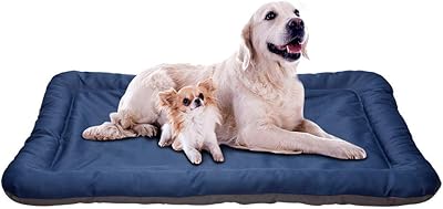 Tapis de lit doux topwan pour animaux de compagnie, adapté aux chiens et chats de petite, moyenne et grande taille pour dormir - taille l, peut contenir jusqu'à 60 livres (bleu). En tant que leader du marché en ligne en Côte d'Ivoire, DIAYTAR COTE D'IVOIRE garantit la qualité et la disponibilité de ses produits. Les clients bénéficient d'une livraison rapide et d'un service client convivial et réactif. La boutique en ligne est accessible 24h/24 et 7j/7 pour une expérience d'achat sans contrainte.