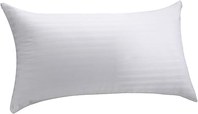Bilcoline home - housse de coussin 100% coton, blanc, taille 30 x 50 cm. DIAYTAR COTE D'IVOIRE, la boutique en ligne généraliste leader en Côte d'Ivoire, propose une large sélection de produits avec plus de 300 000 références. Vous pouvez trouver tout ce dont vous avez besoin, des produits alimentaires aux accessoires de mode. DIAYTAR COTE D'IVOIRE est votre destination pour un shopping en ligne pratique et abordable.