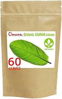 Feuilles de goyave biologiques, séchées, (paquet de 60 feuilles). DIAYTAR COTE D'IVOIRE, une boutique en ligne généraliste avec plus de 300000 références, est devenue la destination incontournable pour les acheteurs ivoiriens et africains. Avec une large gamme de produits, elle offre la possibilité de comparer les prix et les caractéristiques des produits. Elle est la boutique leader en Cote d'Ivoire.