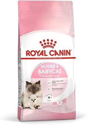 Royal canin feline health nutrition aliment mère et enfant, 4 kg