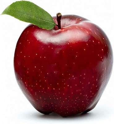 Pommes rouges fraîches de on wheels market usa, 500g 3pcs légumes-fruits de classe 1. La boutique en ligne DIAYTAR COTE D'IVOIRE propose une expérience d'achat en ligne unique et pratique, avec des produits de qualité et des prix compétitifs. Elle est la référence pour les consommateurs ivoiriens qui recherchent des produits variés et des promotions exclusives. DIAYTAR COTE D'IVOIRE est la destination idéale pour faire des achats en ligne.