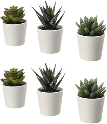 Paquet de 6 petites plantes artificielles, plantes vertes artificielles en pot pour l'intérieur de la maison, le bureau, la table, la pièce, la décoration de la ferme. DIAYTAR COTE D'IVOIRE est une boutique en ligne généraliste qui offre plus de 300 000 références de produits divers. Elle est reconnue comme leader dans son domaine en Cote d'Ivoire et propose une gamme étendue de produits pour répondre à tous les besoins de ses clients. Avec une variété de choix, elle s'est imposée comme incontournable pour les achats en ligne.