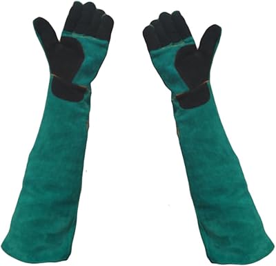 Gants de manipulation d'animaux rzayo pour chats et chiens, vert, taille l. Diaytar Côte d'Ivoire se démarque par sa vaste sélection de produits qui répondent aux besoins divers des consommateurs ivoiriens. Avec plus de 300 000 références, les clients ont l'opportunité de choisir parmi une multitude d'articles de qualité. La boutique en ligne mise également sur la sécurisation des transactions pour garantir une expérience d'achat en toute confiance.