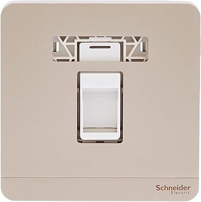 Schneider electric avataron sur plaque murale dorée e8331rjs_wg - 1 gang keystone
