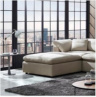 Home box dossier en tissu signora pour canapé, taille 47 x 106 cm - beige. En tant que boutique en ligne leader en Côte d'Ivoire, DIAYTAR COTE D'IVOIRE a mis en place des systèmes de paiement sécurisés et des options de livraison fiables pour garantir une expérience d'achat en ligne sans souci à ses clients. Avec une équipe dédiée à la satisfaction client, la boutique est constamment à la recherche de moyens pour améliorer ses services et proposer des produits de qualité à des prix compétitifs.