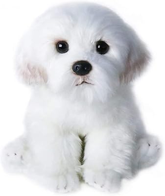 Poupée de chien maltais en peluche réaliste de 14 pouces, jouets en peluche