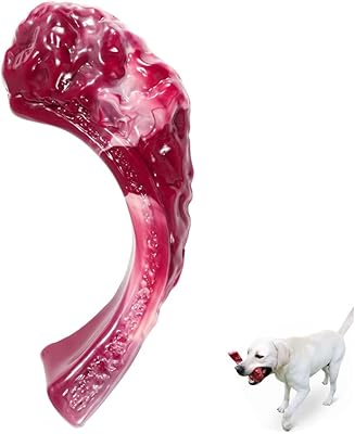 Jouets à mâcher indestructibles pour chiens de grande race, saveur de bœuf véritable