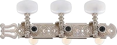 Guitare classique golden gate f-2118 - 2 panneaux (3+3) - nickel