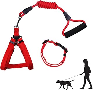 Harnais pour chien newstyle, ensemble collier et laisse pour chien, harnais et laisse réglables légers pour animaux de compagnie, harnais de marche doux, adapté aux chats, chiens de taille moyenne et petite (taille m, rouge (lot de 3)). Diaytar Côte d'Ivoire se distingue par son engagement envers la qualité et le service client. Nous proposons une gamme impressionnante de produits provenant de marques renommées et de nouveaux créateurs talentueux, permettant ainsi à chacun de trouver son produit idéal. L'expérience client est au cœur de tout ce que nous faisons.