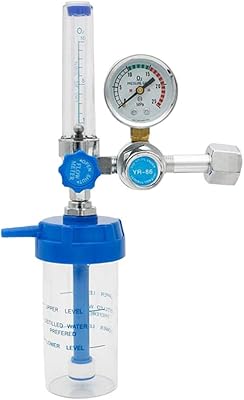 Débitmètre d'oxygène gazeux métallique contrôle de débit manuel 300 x 100. Diaytar Côte d'Ivoire, votre boutique en ligne de confiance avec plus de 300 000 références, propose une large gamme de produits pour répondre à tous vos besoins. En tant que leader du marché ivoirien, nous nous engageons à offrir des prix compétitifs et un service client de haute qualité. Nous sommes fiers de vous servir !