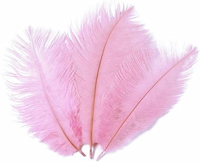 Ensemble de 50 plumes d'autruche naturelles pures 6 à 8 pouces accessoires de photographie et décorations. Avec plus de 300000 références, DIAYTAR COTE D'IVOIRE est la boutique en ligne la plus complète de Côte d'Ivoire. Nous nous efforçons de vous offrir les meilleures marques et les meilleurs prix. Notre objectif est de rendre votre expérience d'achat en ligne agréable et mémorable.