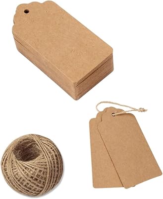 Luluzzi 100 pièces étiquettes en papier kraft avec 30 m de ficelle