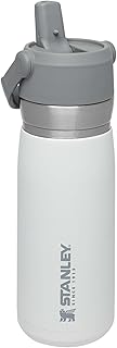 Bouteille d'eau stanley go 650 ml/22 oz avec paille - polar