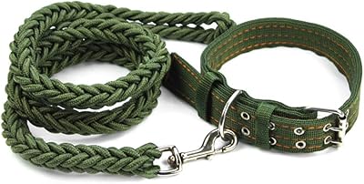 Grand collier de laisse pour chien avec laisse et harnais pour chiens collier