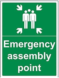 Vsafety 17016bc-r panneau de point de rassemblement d'urgence portrait 300 mm